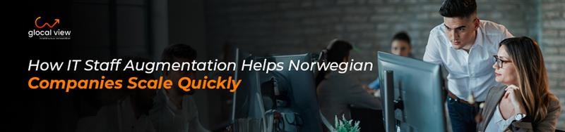 IT Staff Augmentation
